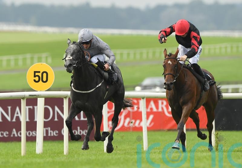 Burke backing Fallen Angel to claim Guineas glory