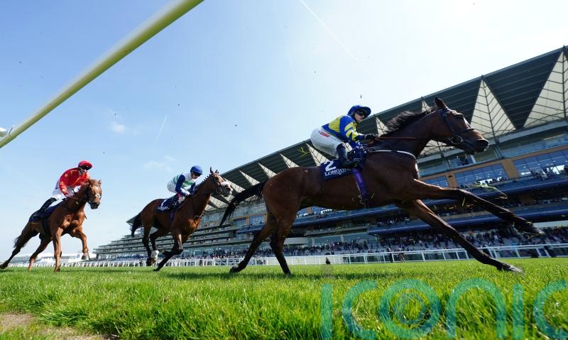 Trueshan all set for &lsquo;tough&rsquo; Sagaro return