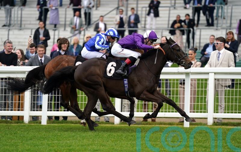 Enchanting performance sparks Royal Ascot dreams