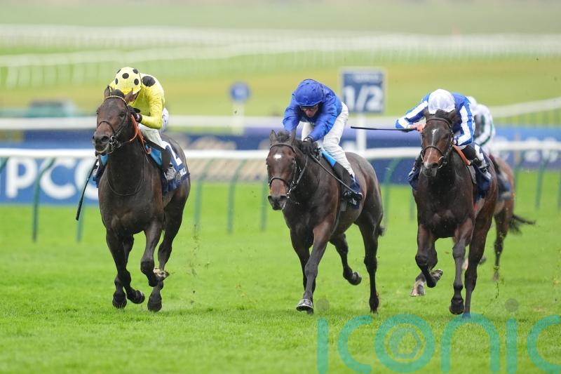 Boiling Point too hot for Newmarket rivals