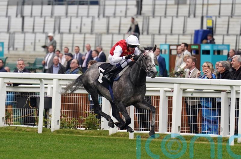 Cox looking towards Haydock for Jasour before Royal Ascot