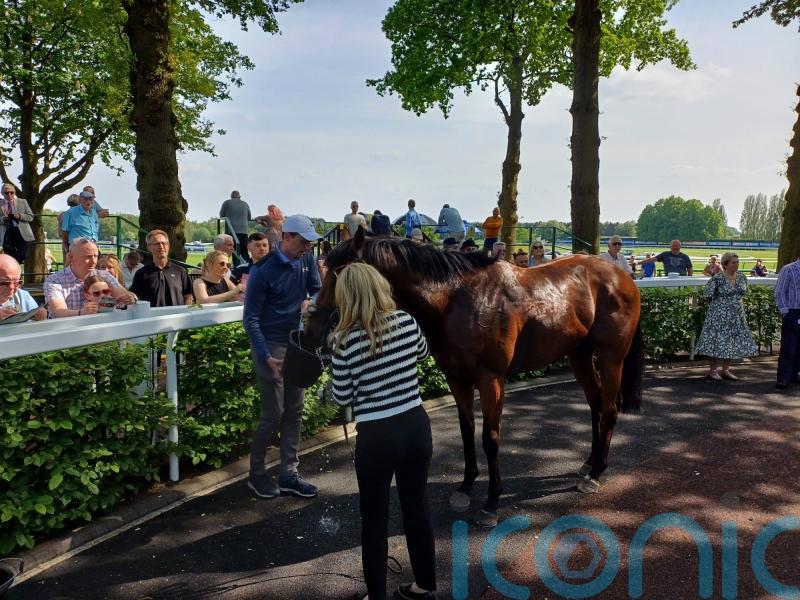 Lofty ambitions for Shartash after shining again at Haydock