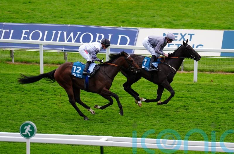 Andesite shows Royal Ascot potential in York victory