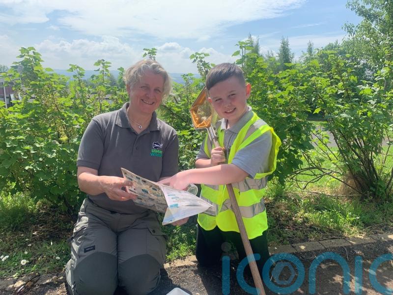 West Belfast boy discovers Northern Ireland&rsquo;s first recorded water stick insect