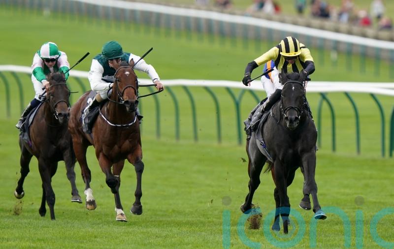 Vandeek team anticipating tough test on Haydock return