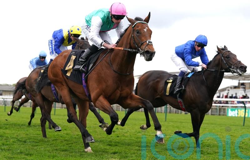 Kikkuli out to master Heron rivals in fascinating Sandown contest