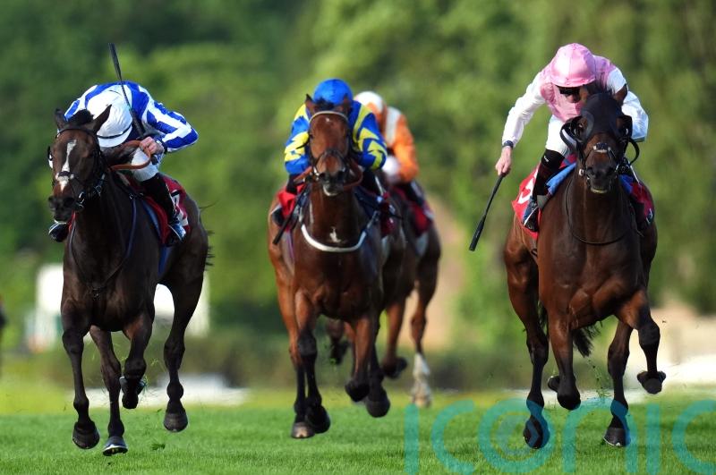 Sweet William and Havlin on the mark in Henry II Stakes