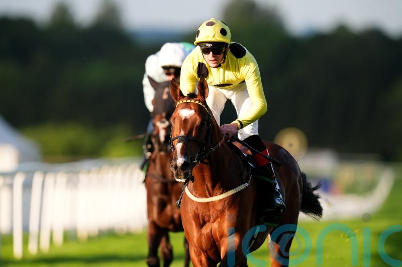 Ground will be a factor in plans for Royal Rhyme, says Burke