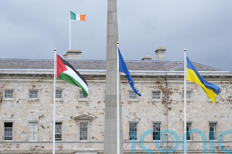 Ireland&rsquo;s recognition of Palestine could be &lsquo;catalyst&rsquo; for other EU countries
