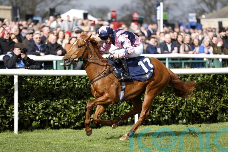 Dylan Cunha hoping Zminiature can mix it with the best at Ascot