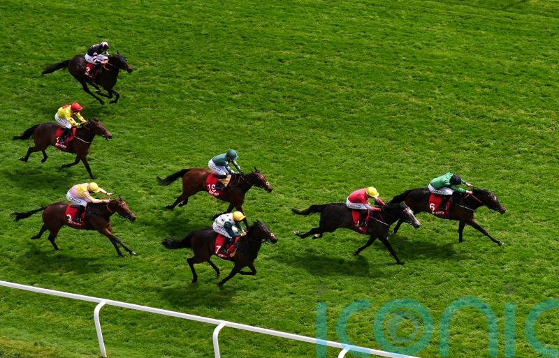 Tutty hoping to take Royal Ascot by Storm