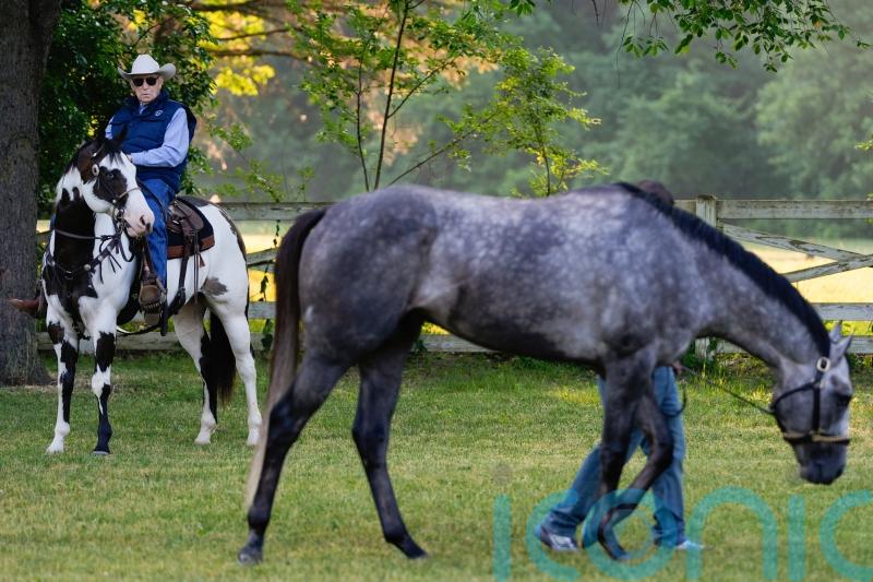 Stall one, but legend Lukas expecting big Seize The Grey run in Belmont