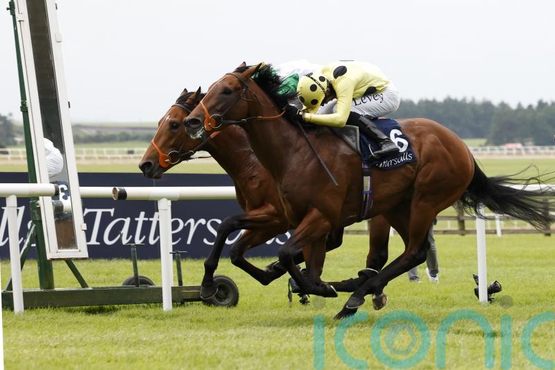 Hannon and Rosallion ready for Notable Speech rematch