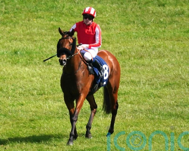 Seven Questions supplemented for King Charles after impressing George Scott