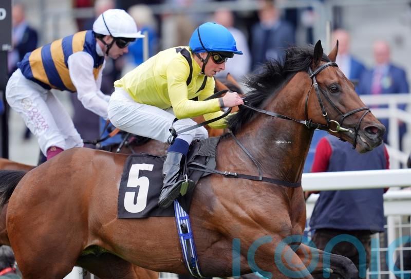 Summer Mile could be a target for Queen Anne absentee Quddwah