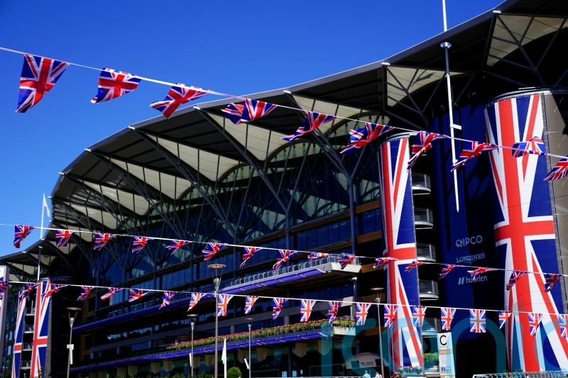 Record-breaker Hot Darling all ready for Albany challenge