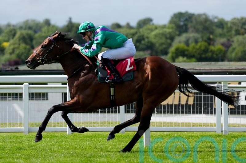 Prague could prove an incredible purchase for Cunha stable