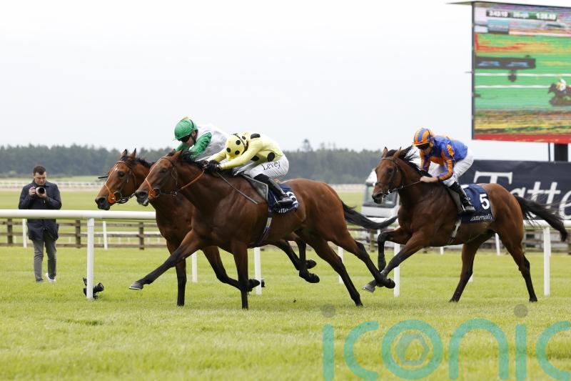 St James&rsquo;s Palace poised to be crowning glory for clash of the Classic winners