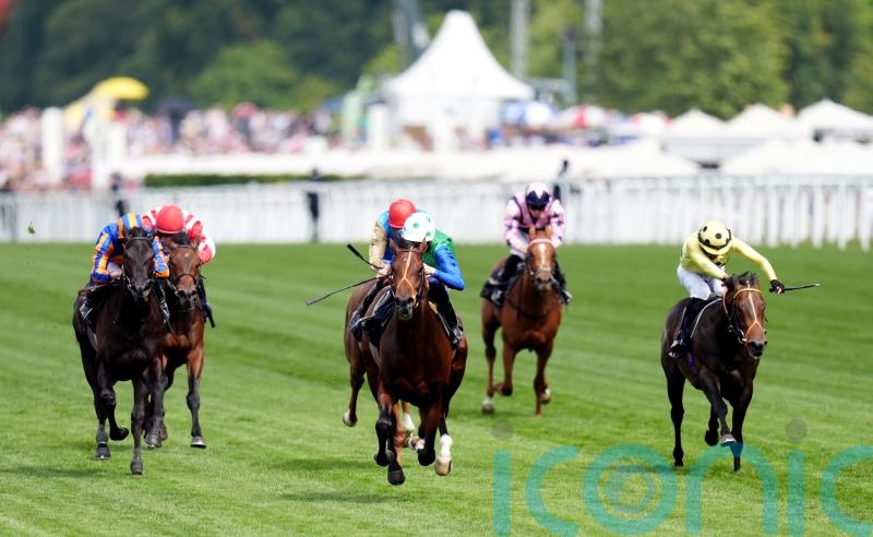 Rashabar hangs for victory in thrilling Coventry Stakes