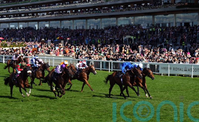 Wild Tiger roars for Saeed bin Suroor in Royal Hunt Cup