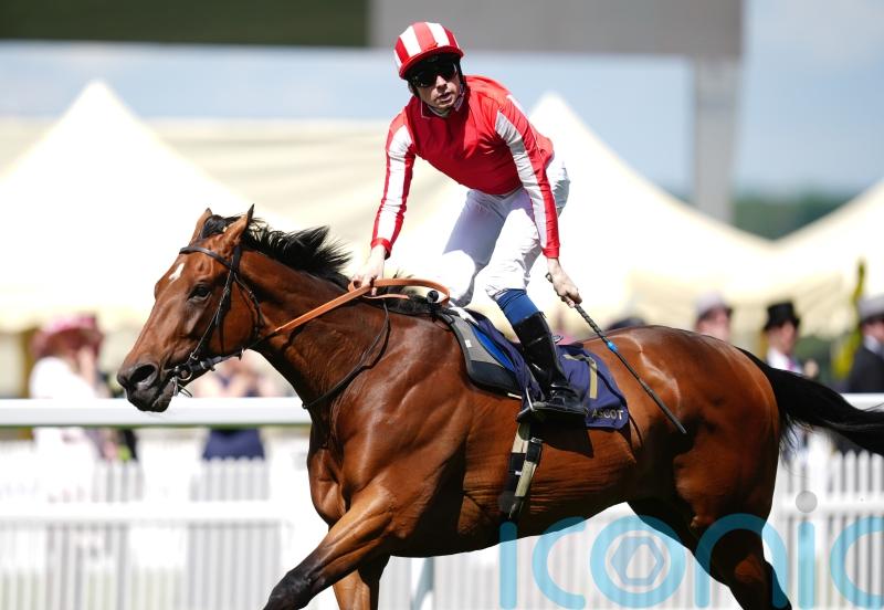 Isle Of Jura way too hot for Hardwicke rivals