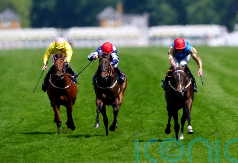 Nicholls eyeing six-furlong switch for Maw Lam