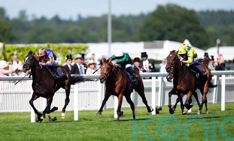 International mission an option for Zarakem