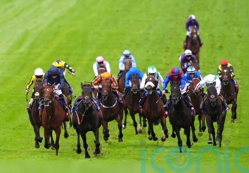 Ambiente Friendly supplemented for Irish Derby