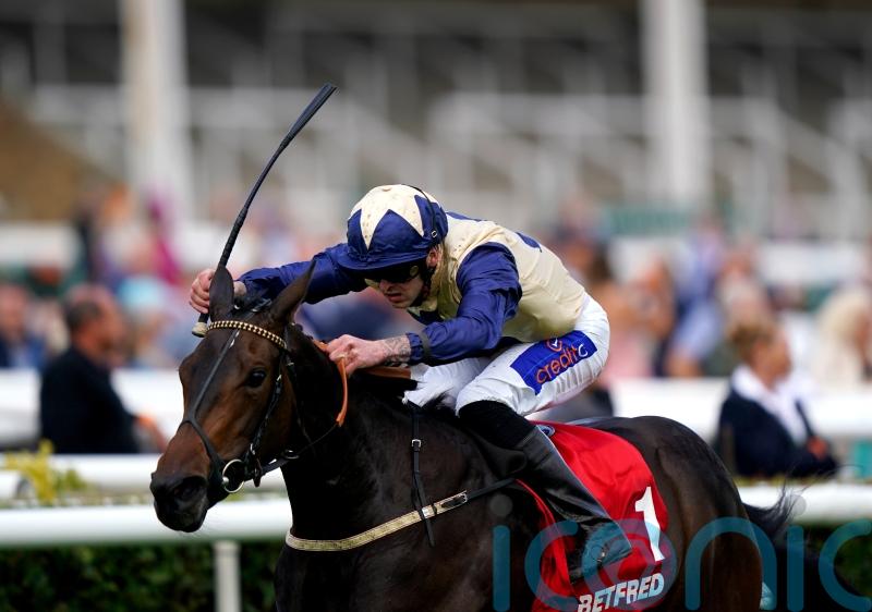 Darnation back on home ground for Hoppings assignment