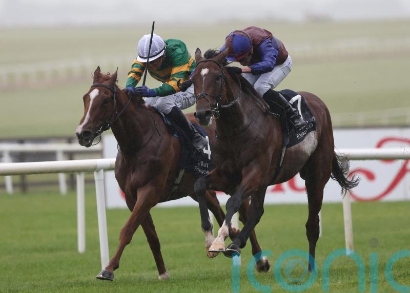 Jan Brueghel boosts Leger prospects with International win