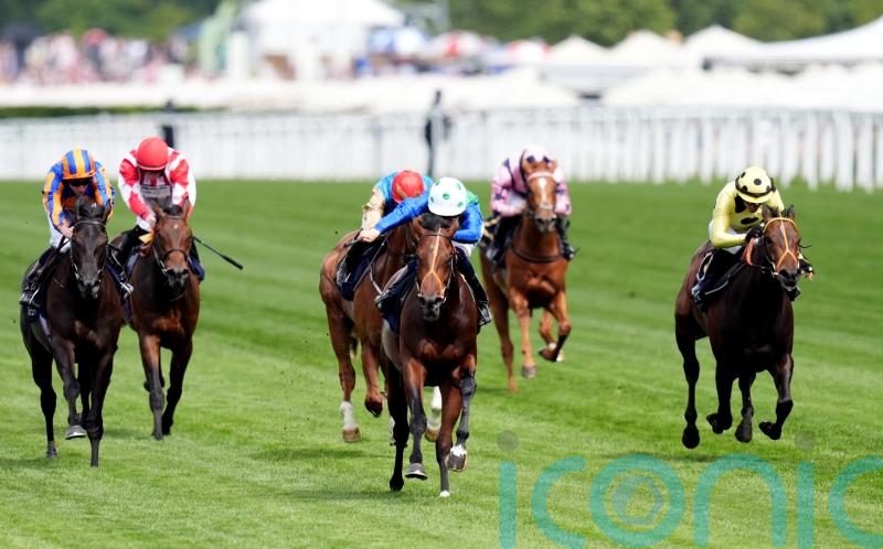 Rashabar set to be Prix Morny bound