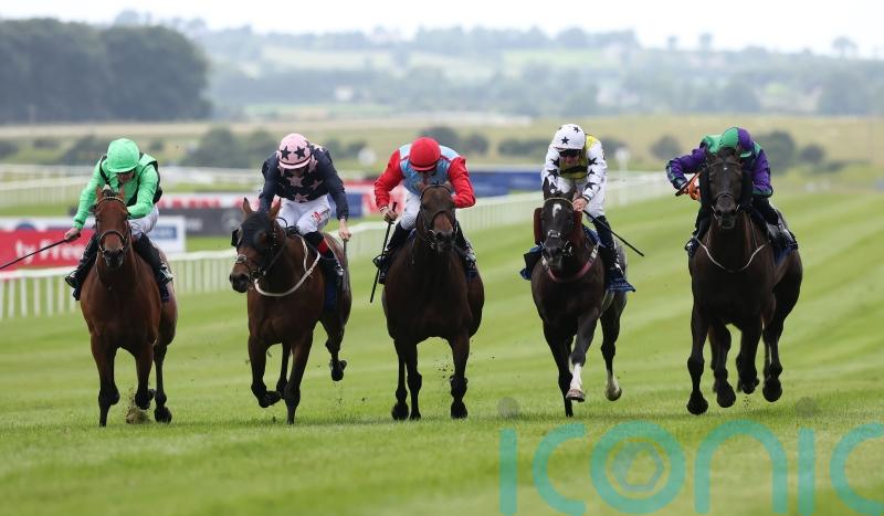 My Mate Alfie proves fastest in Curragh Dash