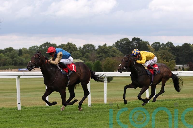 Aesterius scorches Sandown turf in Dragon Stakes