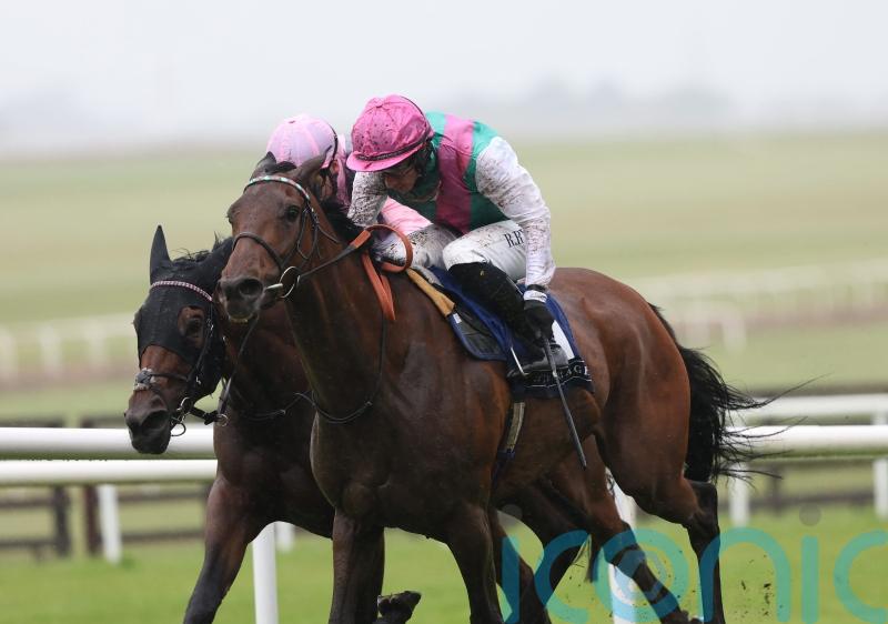 Blossoming Bluestocking has big targets at Goodwood and York