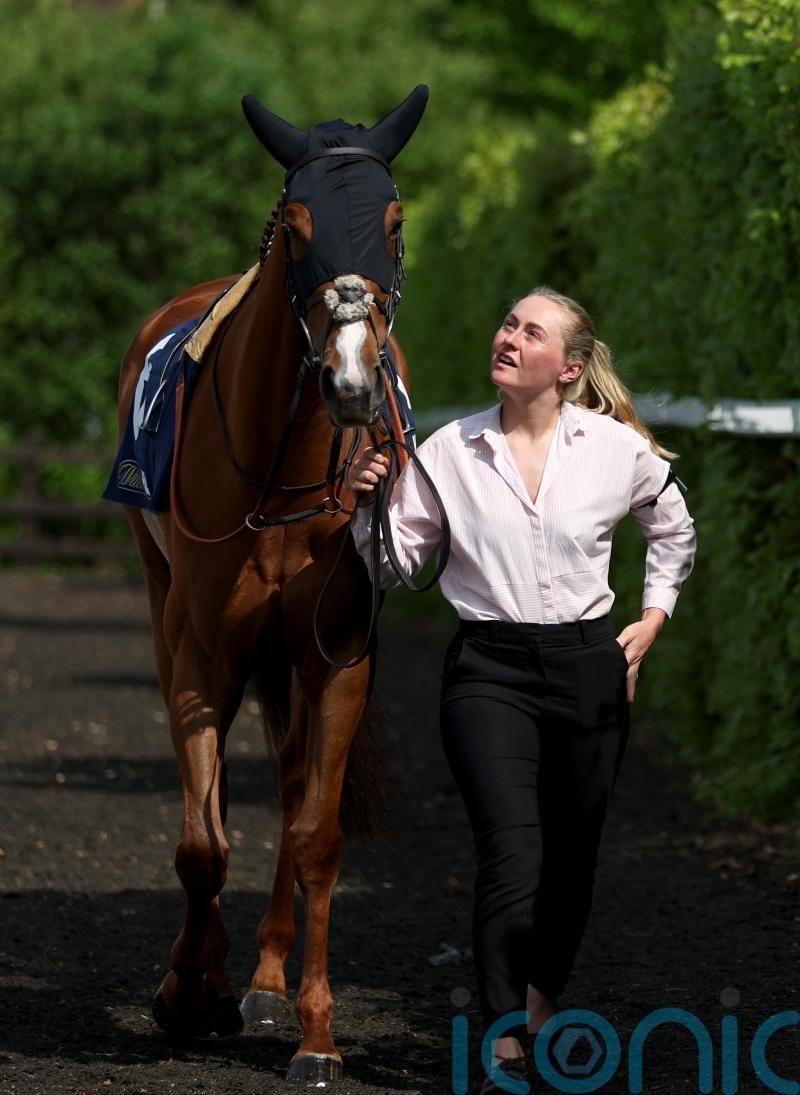 Vetiver bounces back in Chelsmford feature