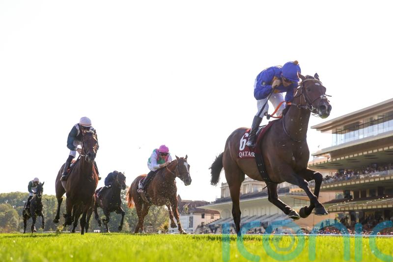 Palladium team considering familiar path for German Derby victor