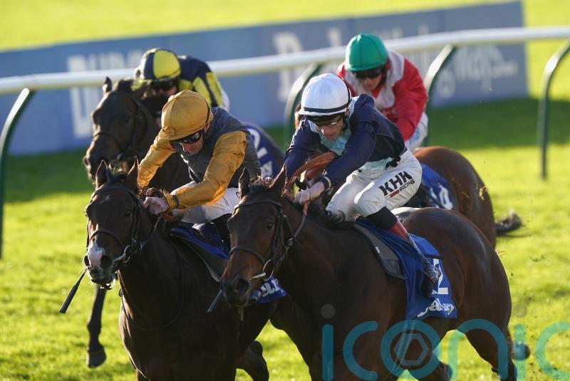 Fair Angellica has Goodwood&rsquo;s Oak Tree Stakes on her agenda