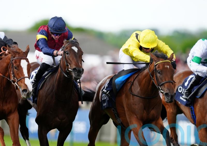 Nassau next for Guineas heroine Elmalka