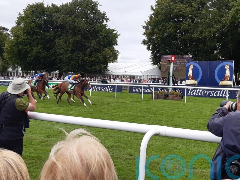 Arabian Dusk gets off the mark in Duchess of Cambridge