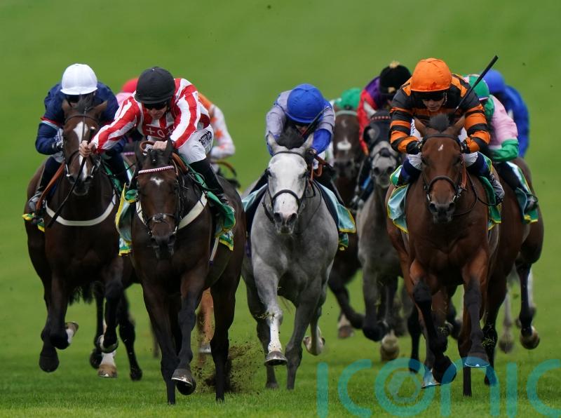 Astro King up for the Cup again and out to extend good York record