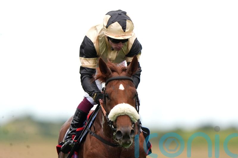 Botti charting direct Irish Leger route with Giavellotto