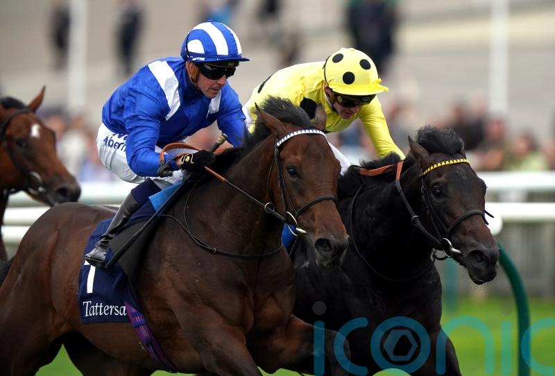 Alyanaabi and Al Aasy both set to represent Shadwell at Newbury