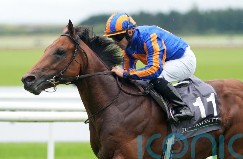 Lion roars for O&rsquo;Brien at the Curragh