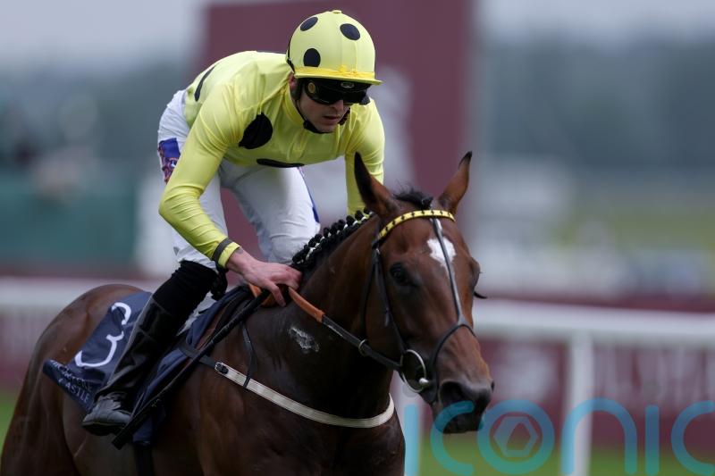 Elite Status too good for Hackwood field