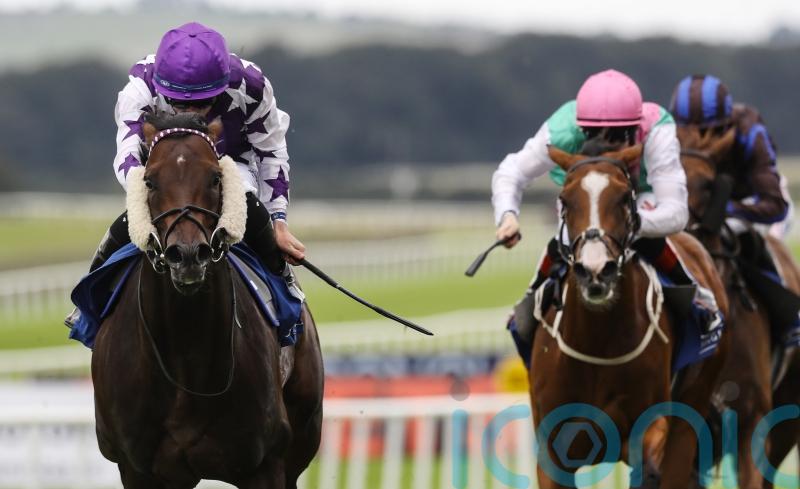 David Loughnane &lsquo;over the moon&rsquo; to have Go Bears Go back