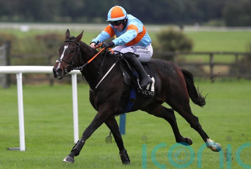 Cromwell keeping Galway options open for My Mate Mozzie