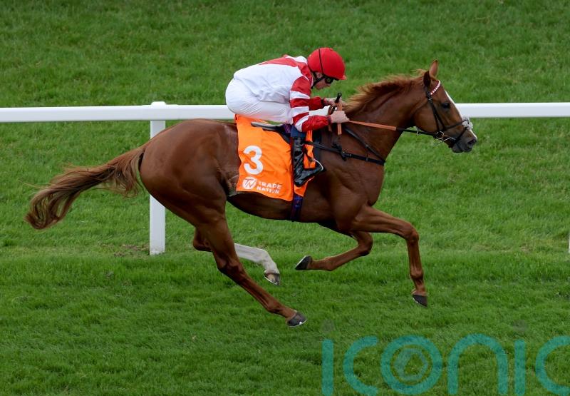 King&rsquo;s Gambit &lsquo;all set&rsquo; for the Knavesmire, with Callum Shepherd booked