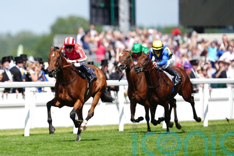 &lsquo;He&rsquo;s ready to go&rsquo; &ndash; Goliath taking on King George giants