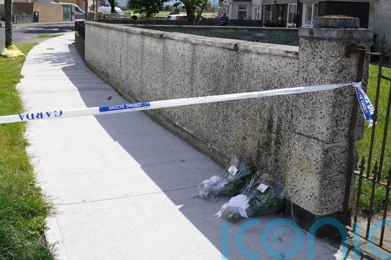 Man dies following assault in south Dublin