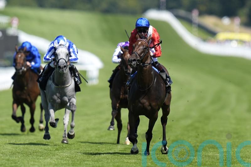 Audience delivers rousing performance in Lennox Stakes success